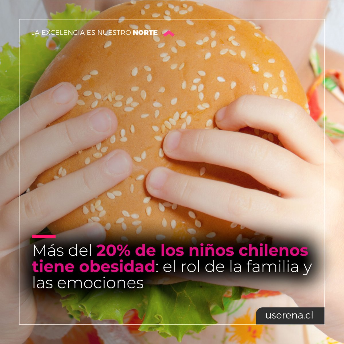 U. de La Serena tweet media