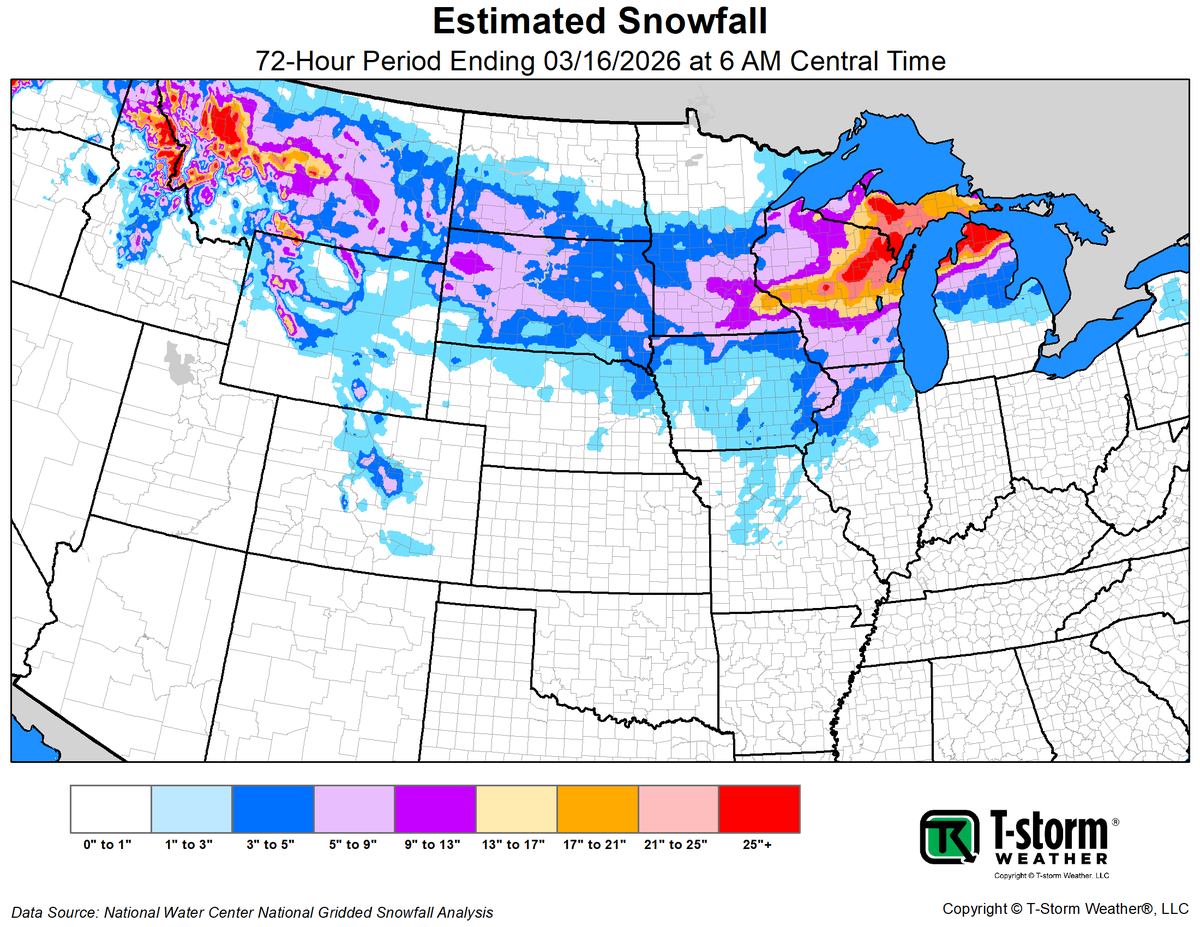 T-storm Weather tweet media