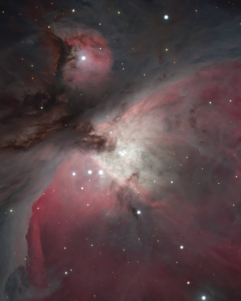 🔭AstroBackyard tweet media