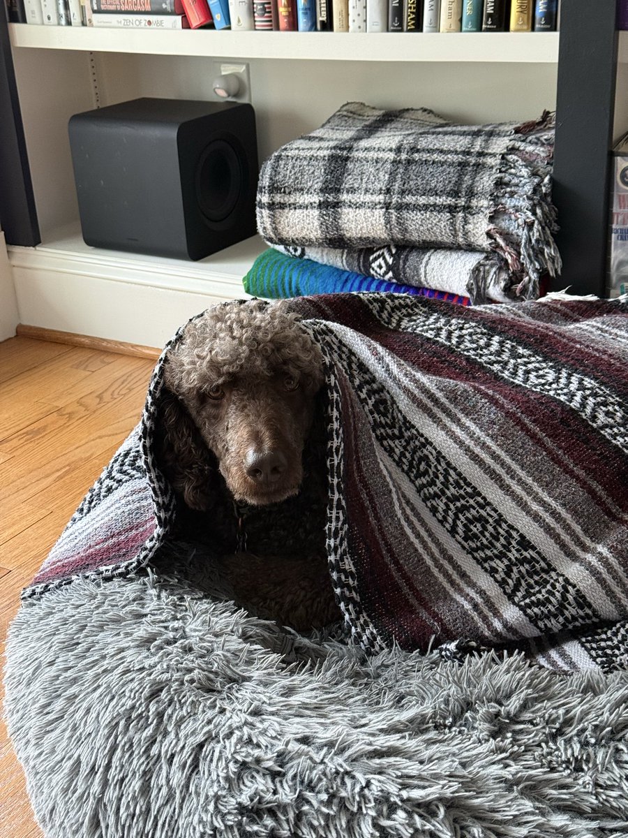 Melissa Berry tweet media