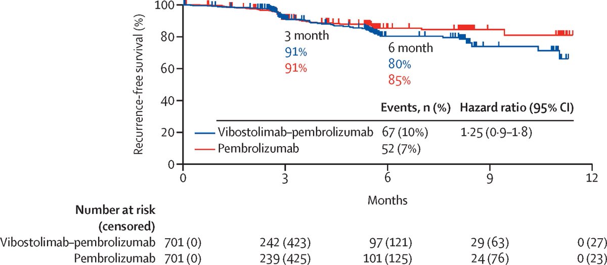 Oscar Tahuahua tweet media