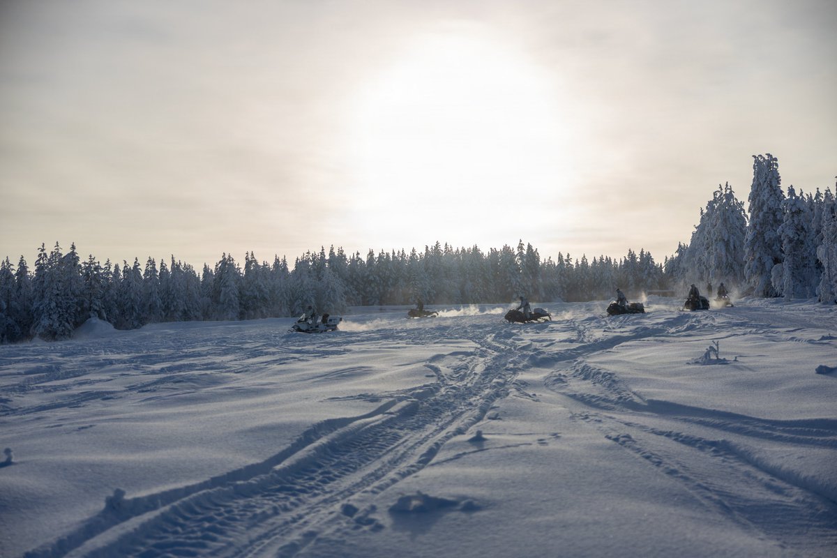 U.S. Marine Corps Forces Europe & Africa tweet media