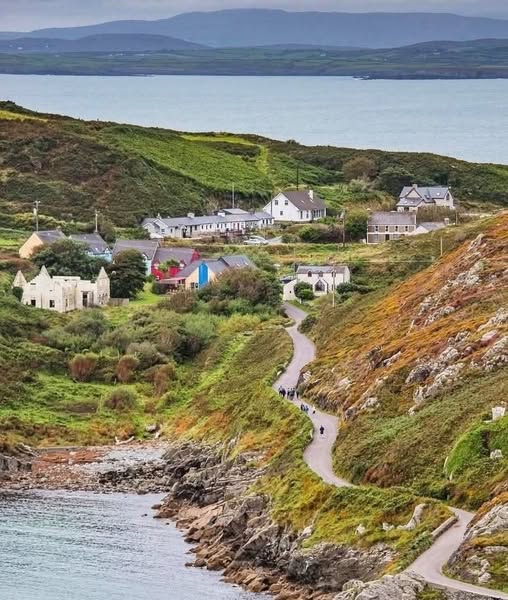 Jim's the Man tweet media