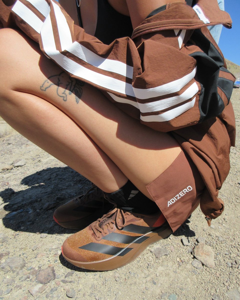 Modern Notoriety tweet media