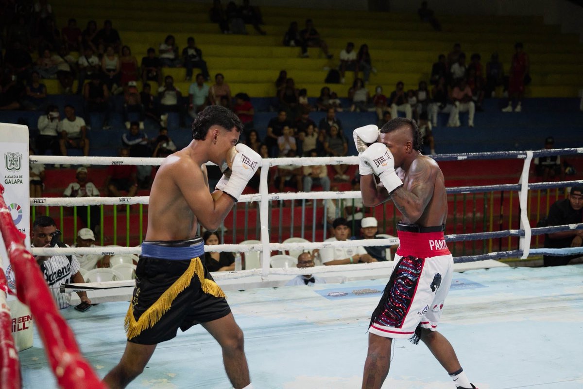 alcaldiagalapa's tweet photo. 🥊 #𝙏𝙞𝙚𝙧𝙧𝙖𝘿𝙚Deporte | Galapa vibró con el boxeo internacional en el WBA Future Champions Colombia 2026. 🔥

El Polideportivo Municipal de Galapa se convirtió en el escenario de una gran noche de combates, talento y emoción sobre el ring.

@FECOLBOX, @ImpactoNewsCol https://t.co/VAtTJn7vWs