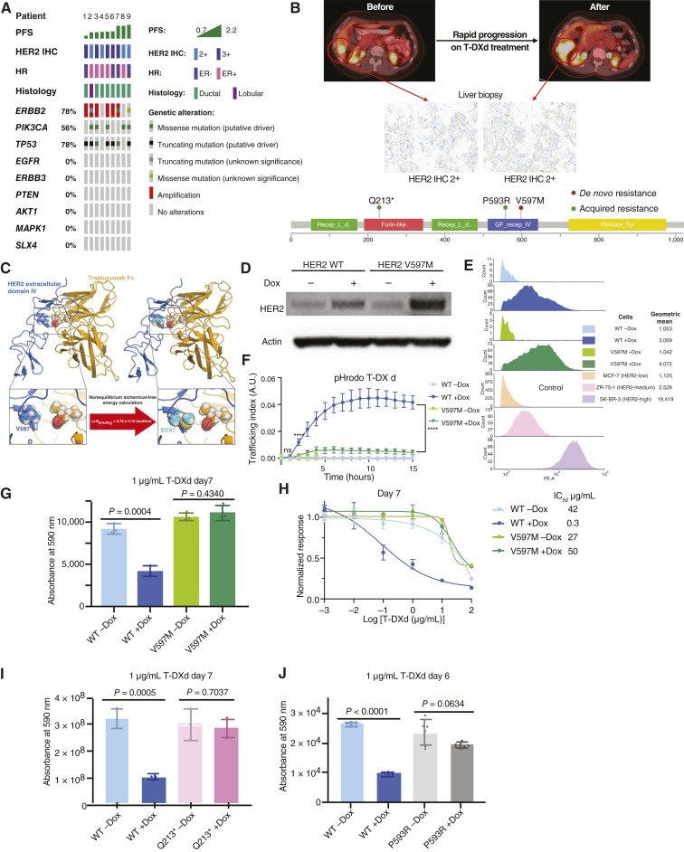 MSK Library tweet media