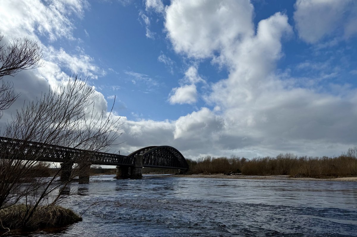 Debby Thorne tweet media