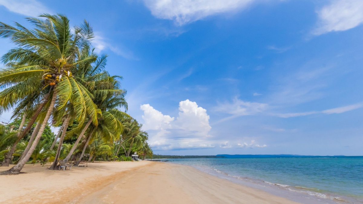 Amazing Thailand SA tweet media