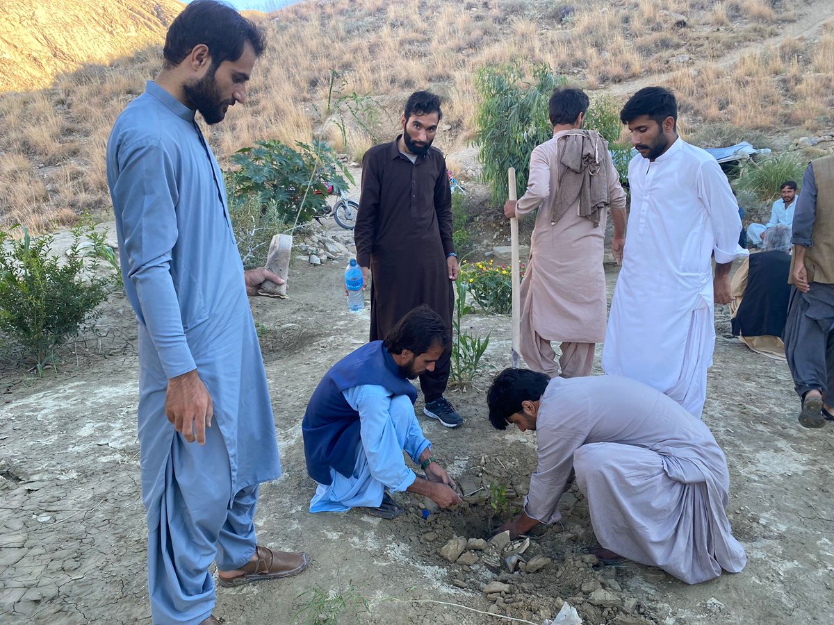PSFQta_Official's tweet photo. @asadkhansturani A plant we planted a year ago is now a symbol of hope. Protecting the environment is everyone’s responsibility. 🌱 https://t.co/G77Dh6xnpG