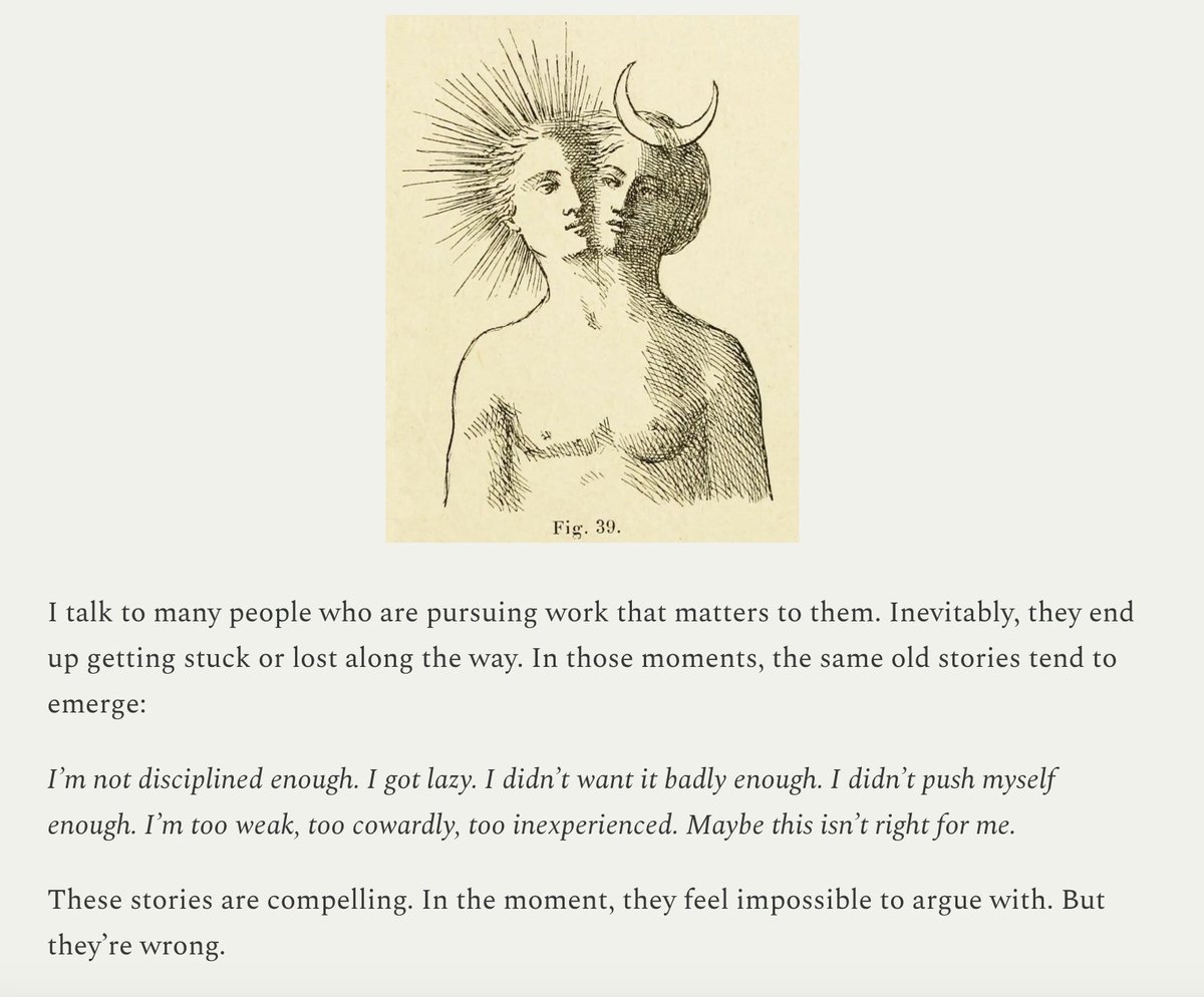 scott 🌞 tweet media