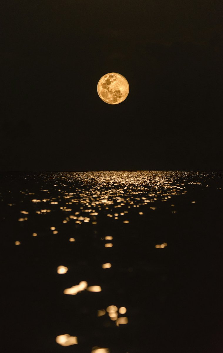 Gordana Biernat tweet media