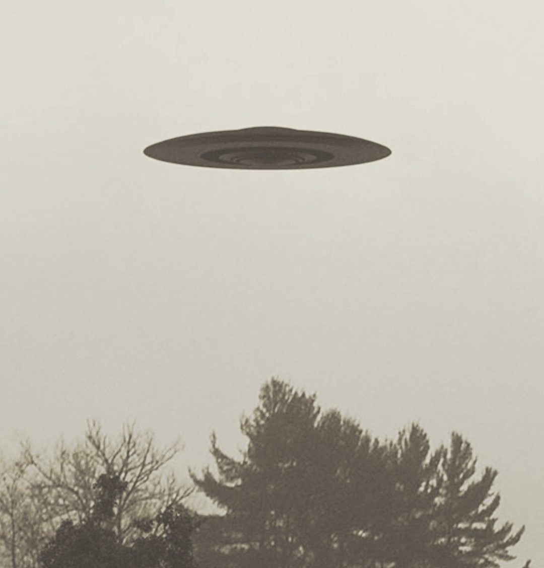 UFO Stories 🛸👽 tweet media