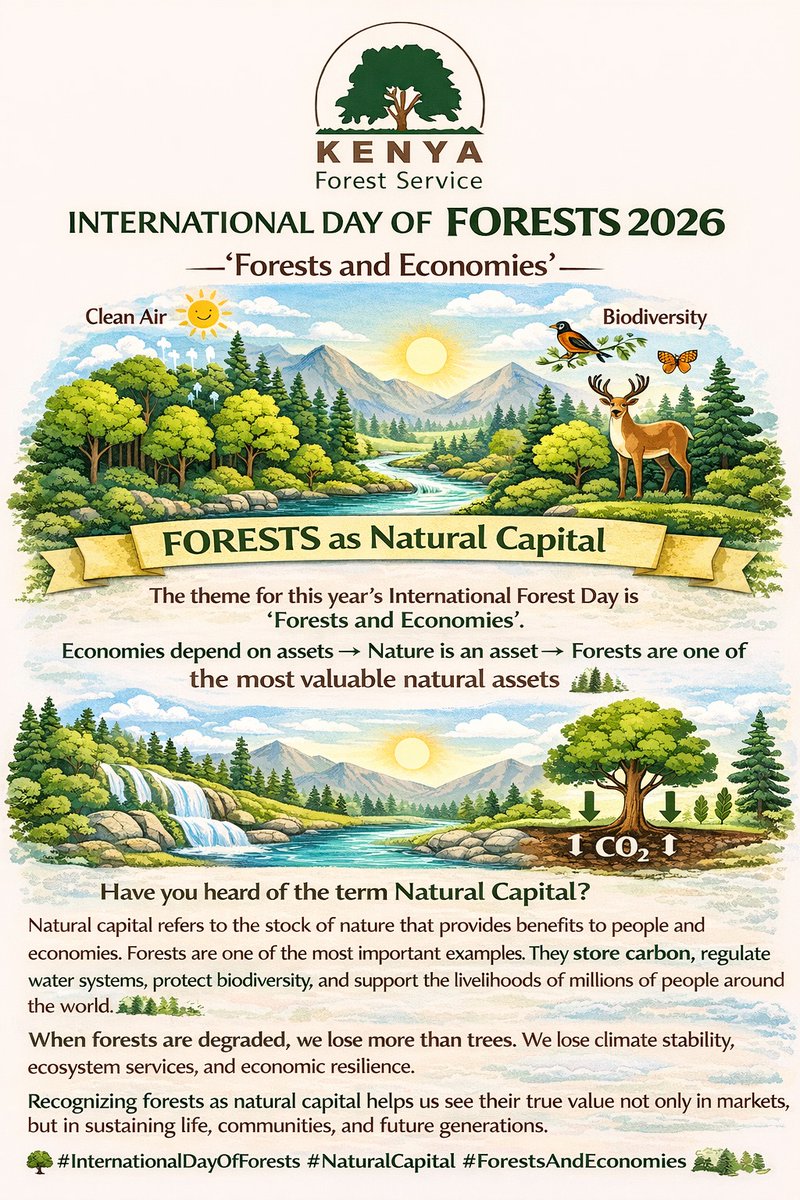 Kenya Forest Service tweet media