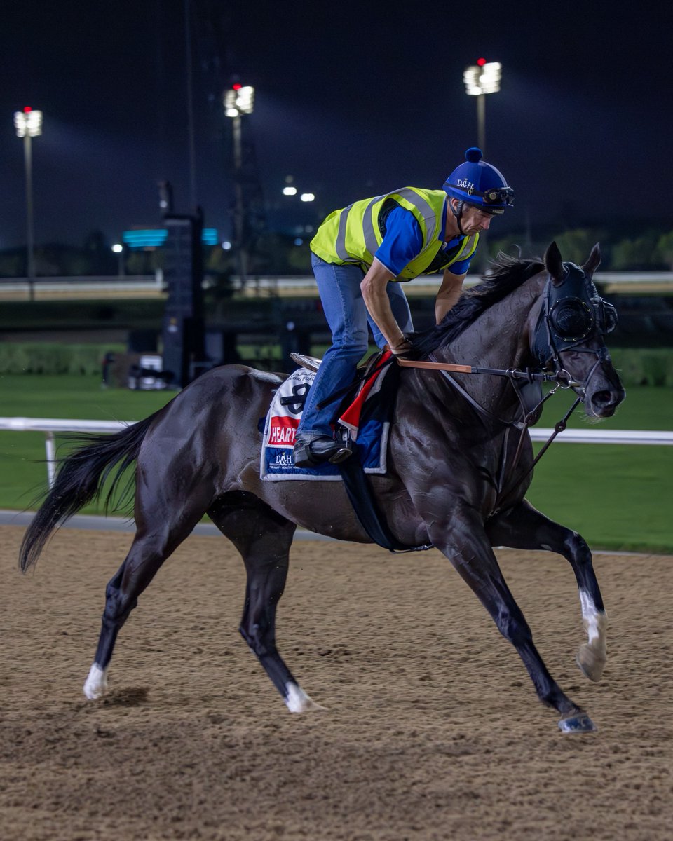 Dubai Racing Club tweet media