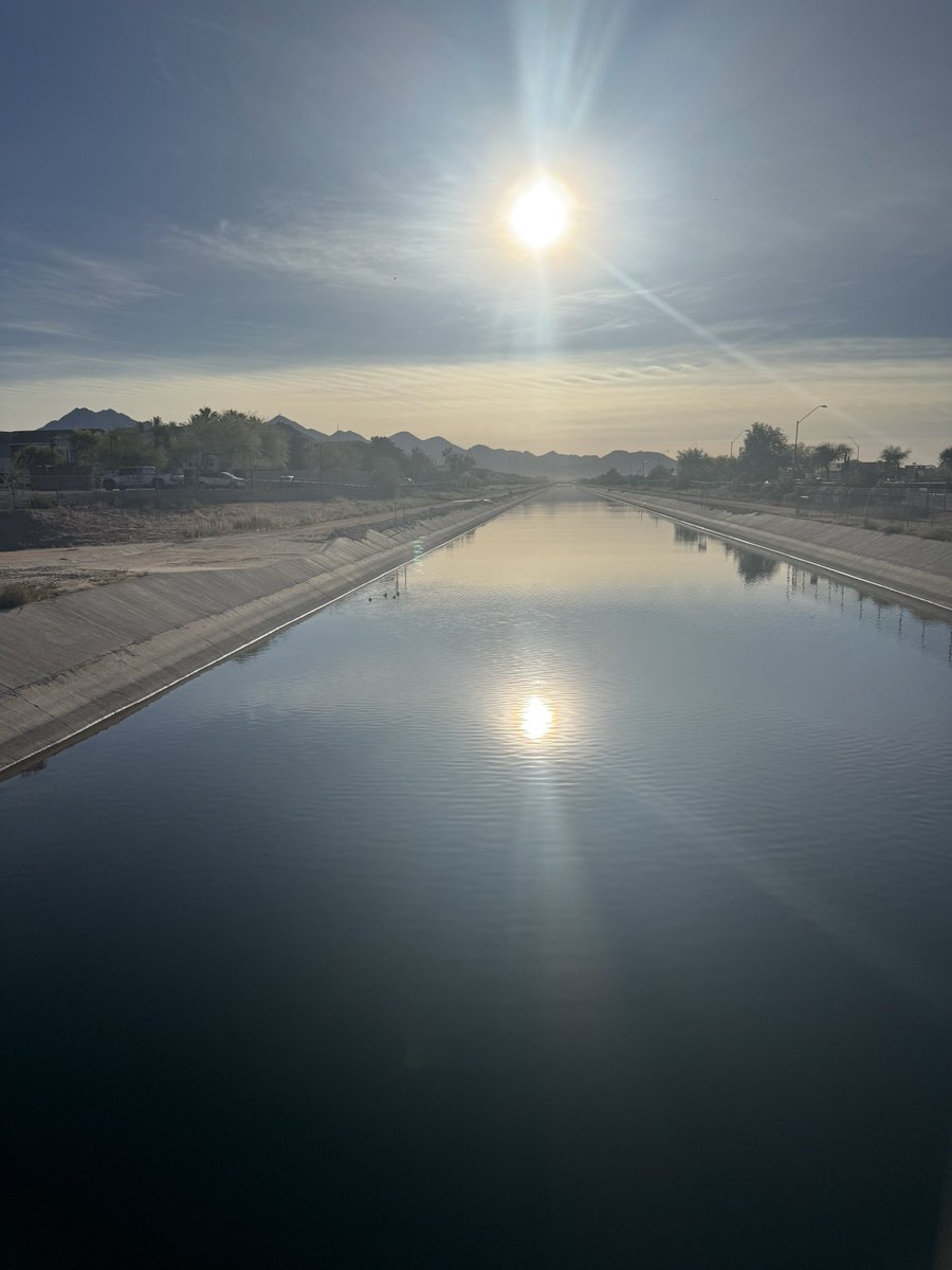 Splat Fennec 🔜 LVFC tweet media