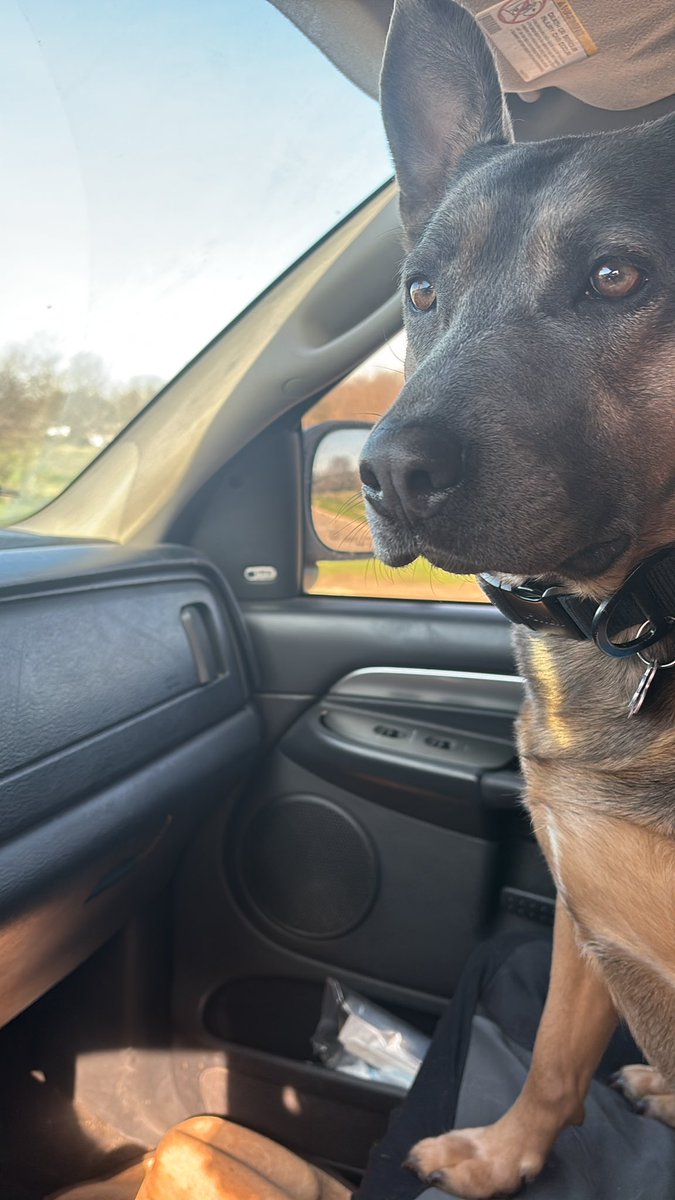 Turtle Sprints tweet media