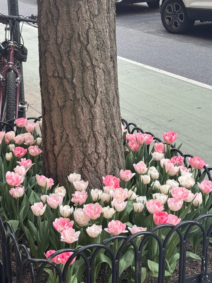 The air was filled with the fragrance of flowers🌷