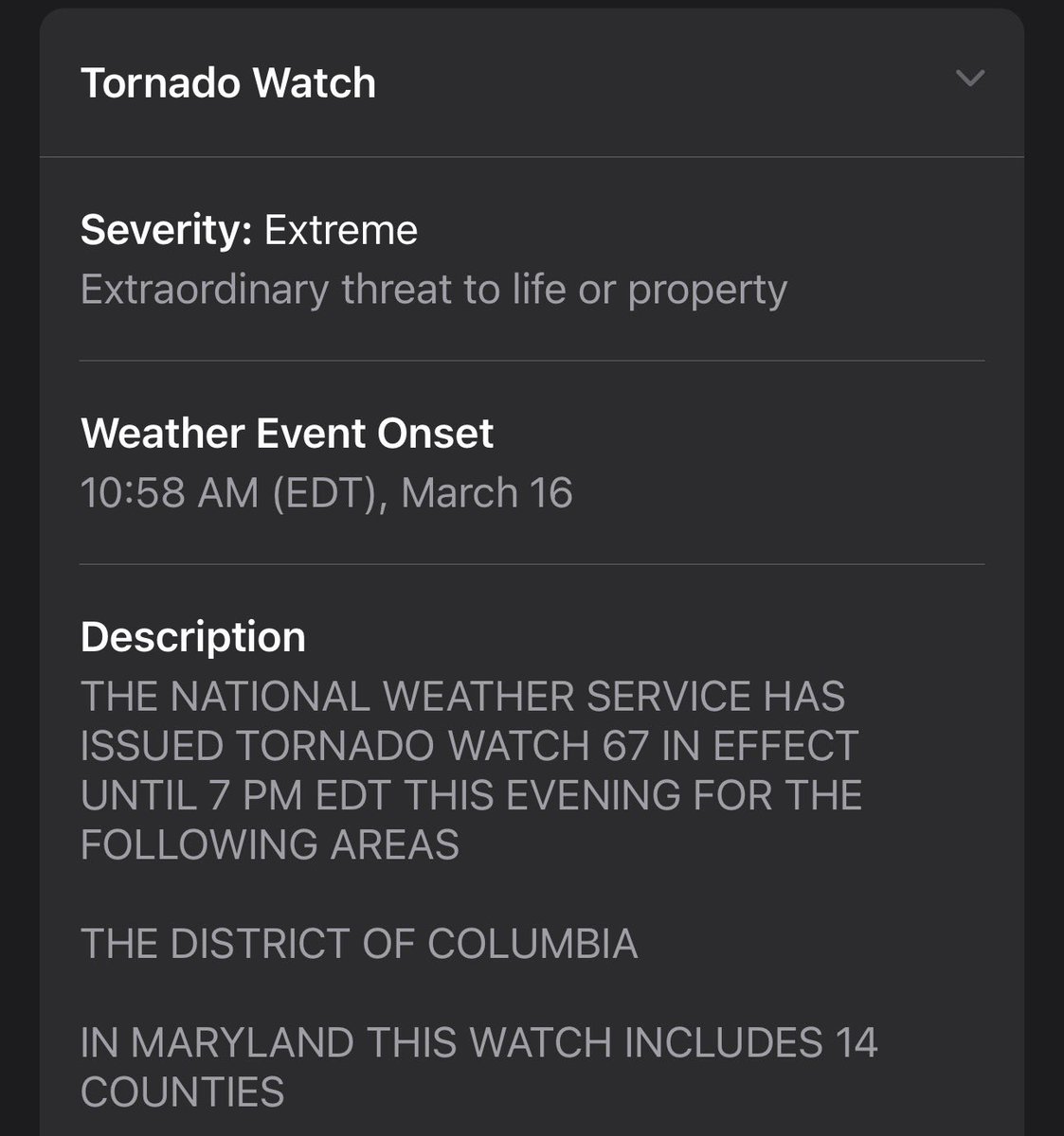 DMV fellas stock up on twinkies, skittles, jelled canned chicken and any other carcinogens you can get your paws on! Severe weather is coming. Schools are releasing little pups early for safety.