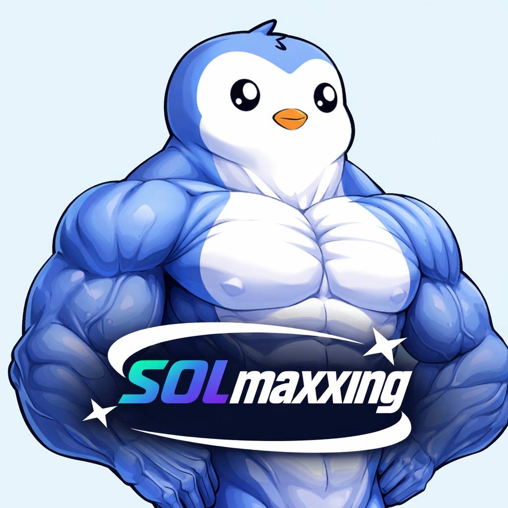 SOLMAXXING tweet media