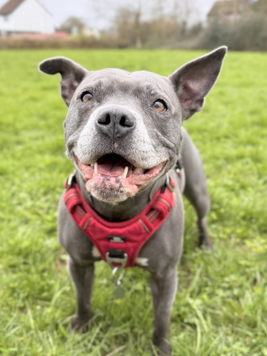 Isa Mary tweet media