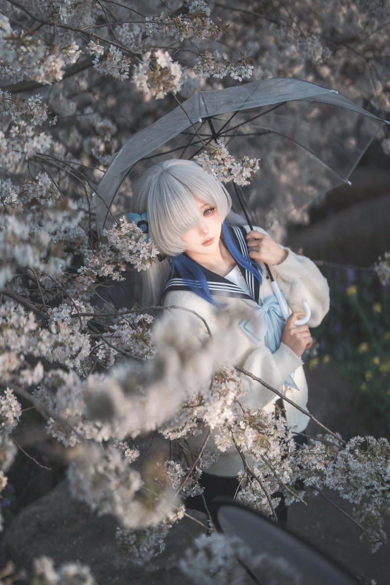 涼月真宵MAYOi🦋 tweet media