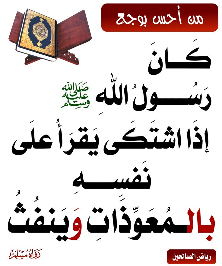 fadelsalih5's tweet photo. https://t.co/zgWjcqkOJZ