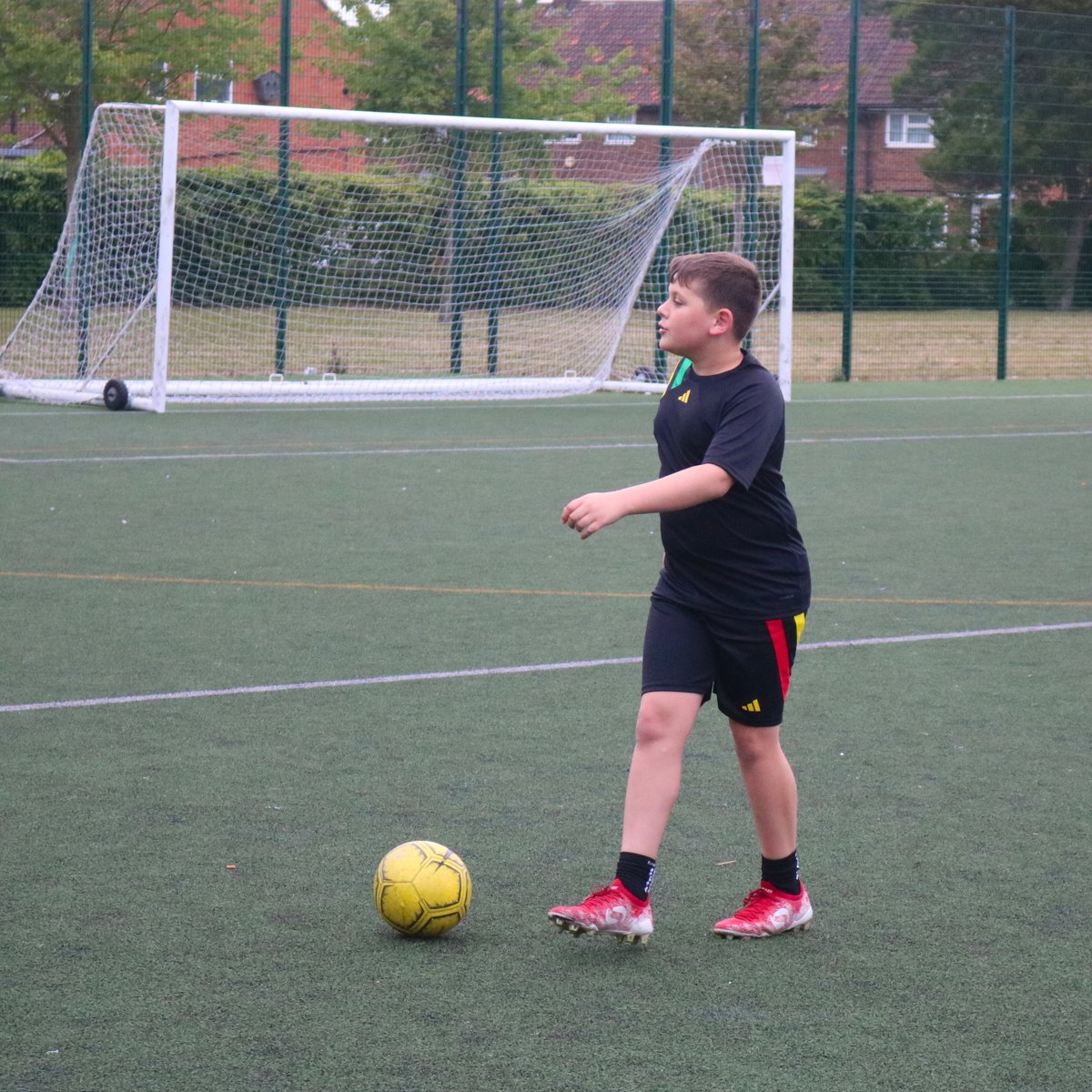 Tigers Trust tweet media