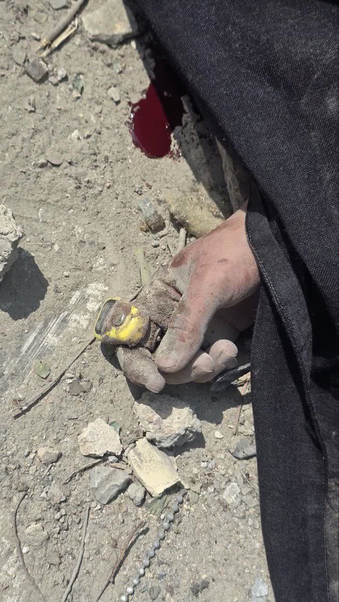 Arya Yadeghaar tweet media