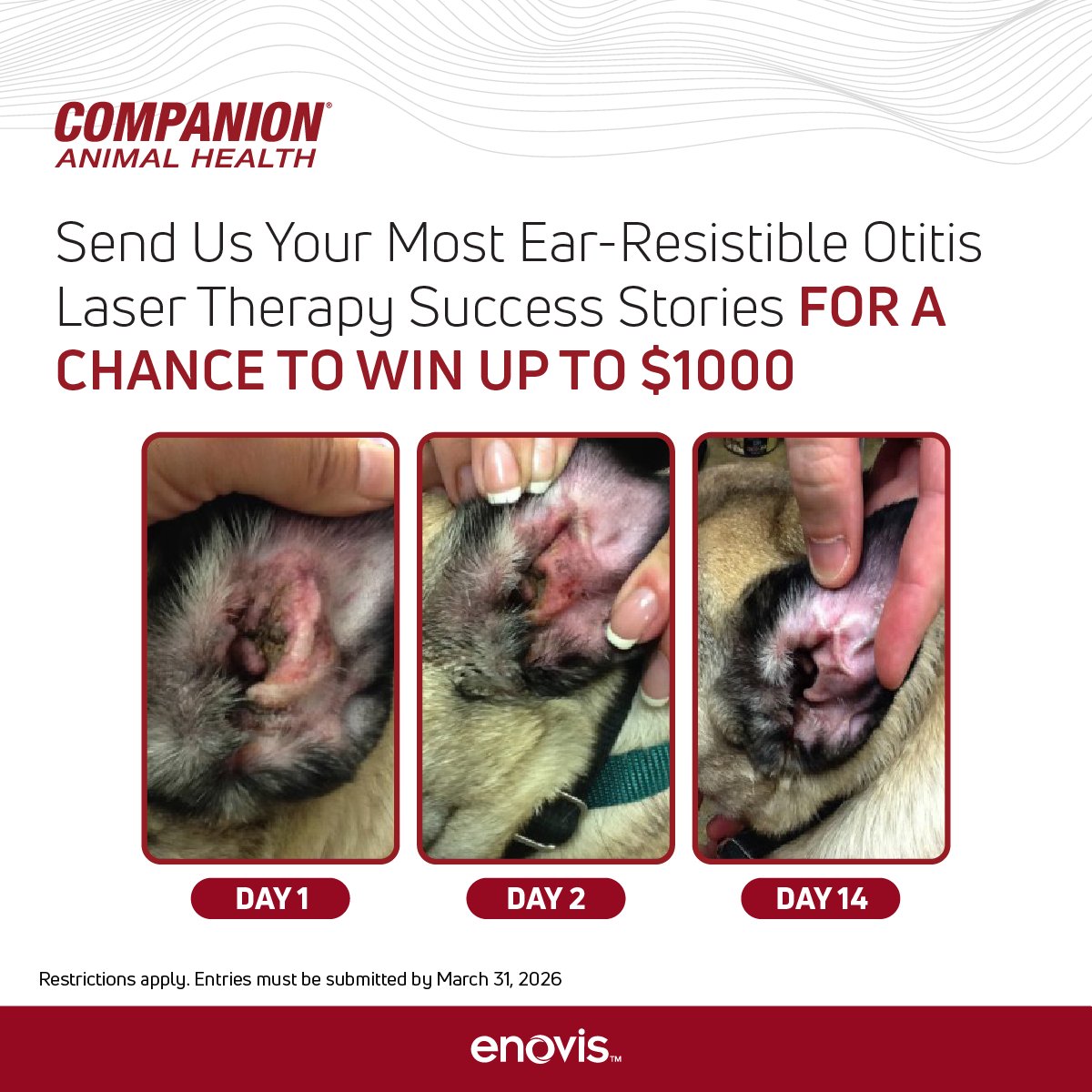 Companion Animal Health tweet media