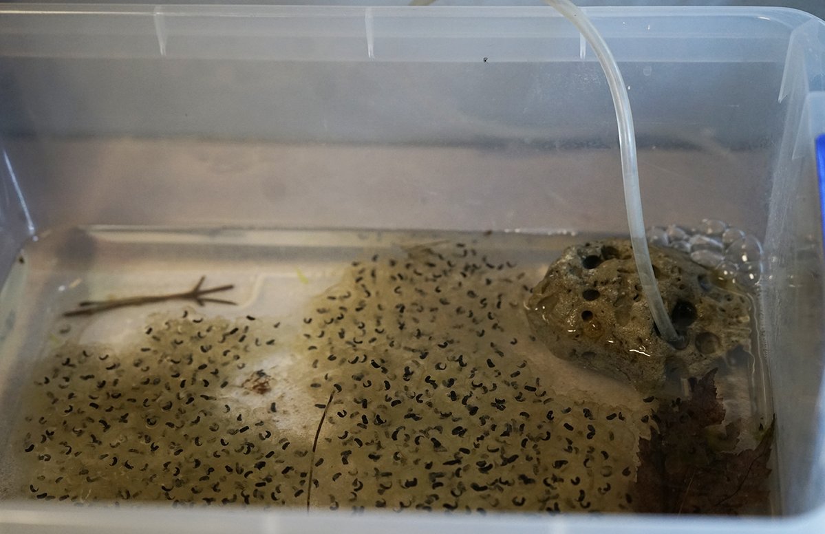 Duquesne City School District tweet media