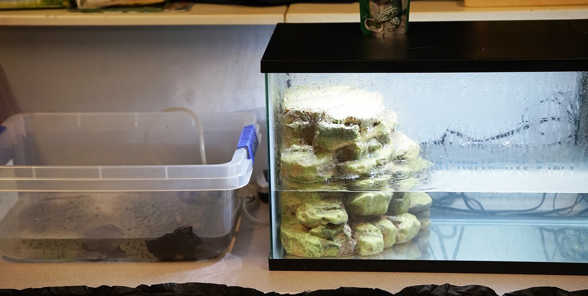 Duquesne City School District tweet media