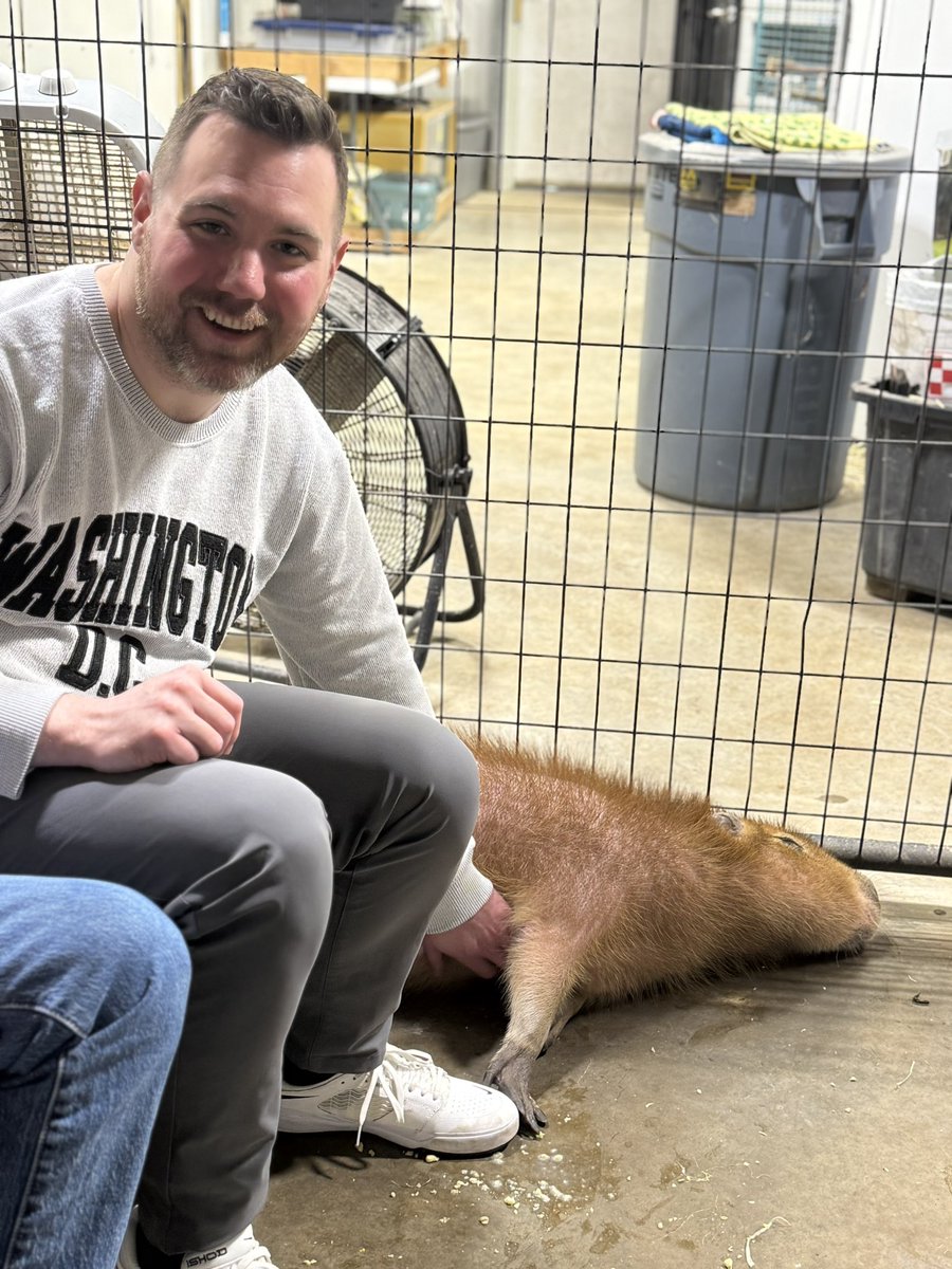 ADHDaniel tweet media