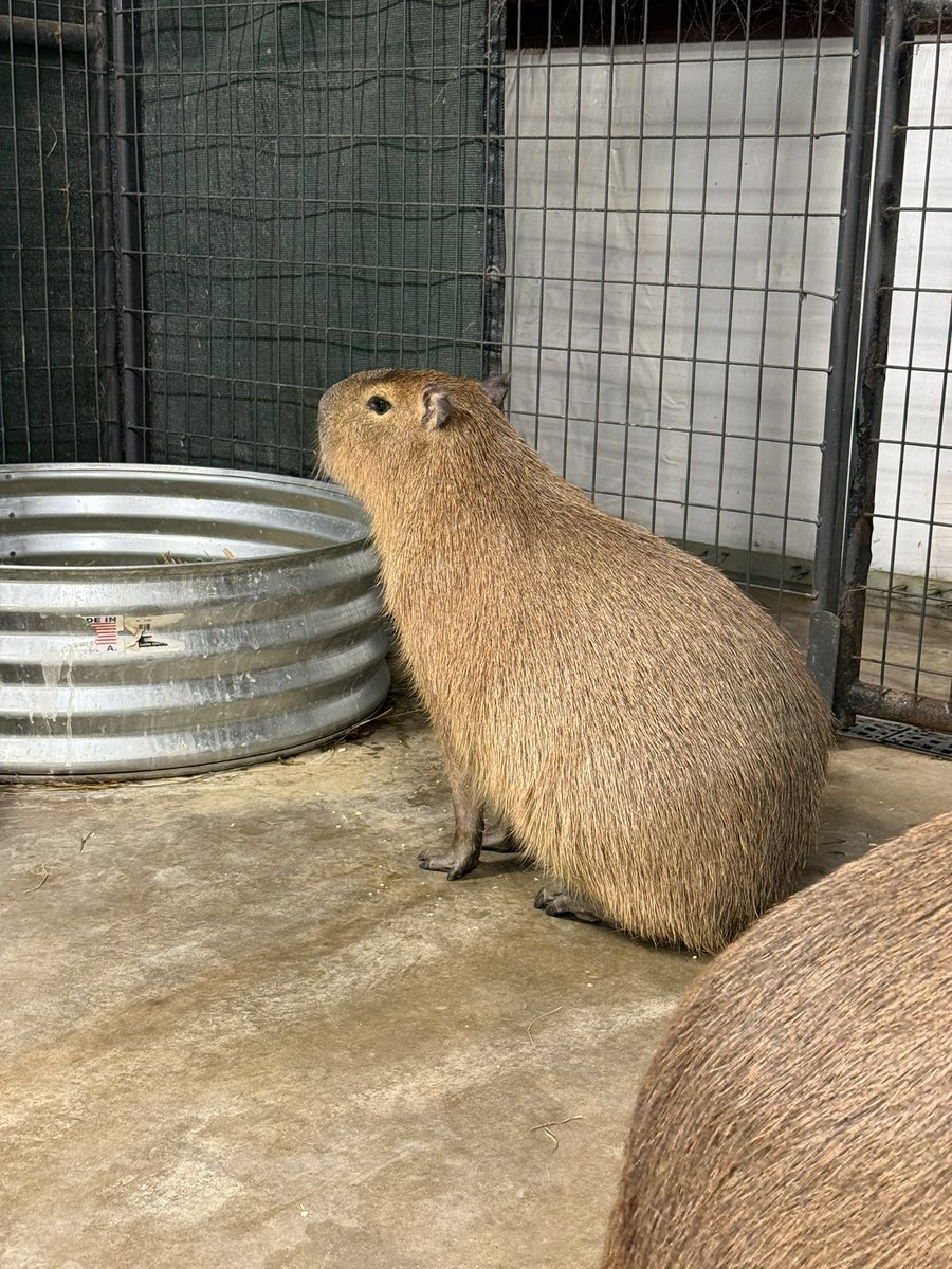 ADHDaniel tweet media