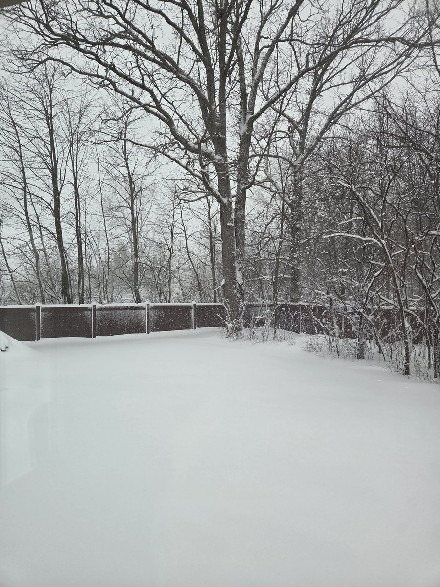 Mrs Lydia tweet media