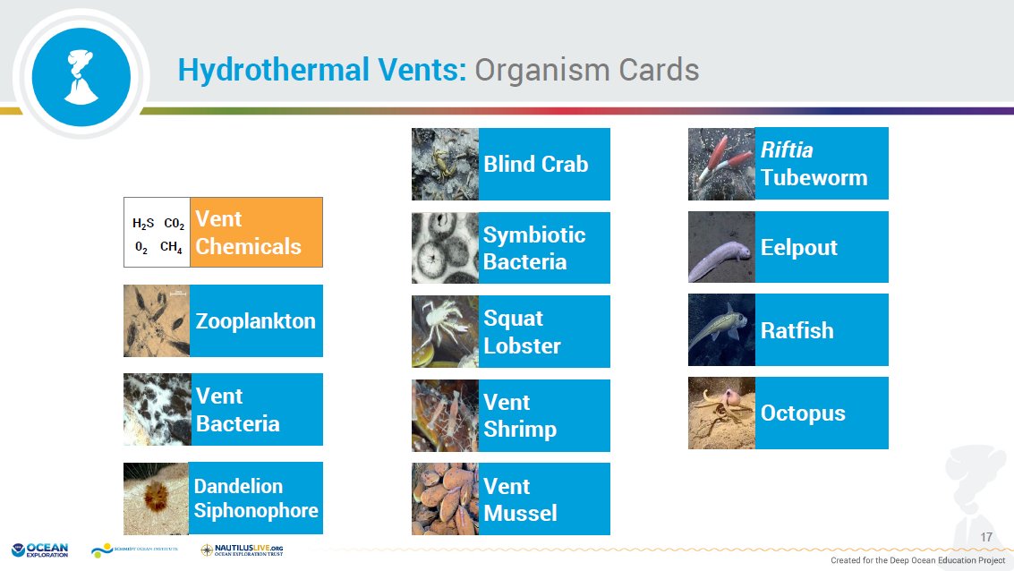NOAA Ocean Exploration tweet media
