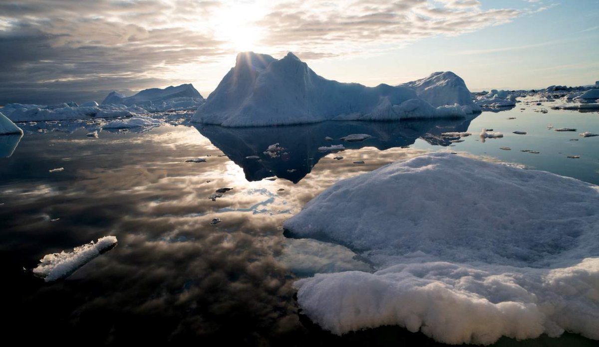 Arts and Sciences | University at Buffalo tweet media