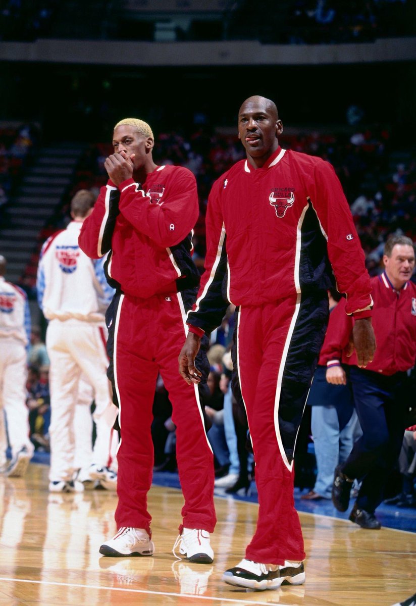 JordanMuse tweet media