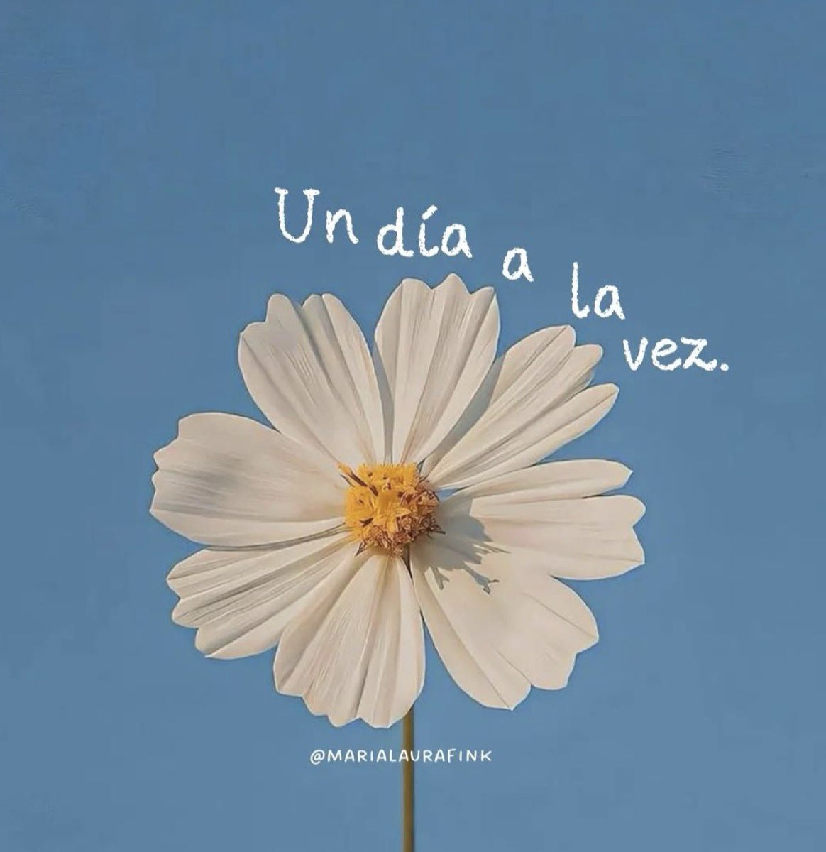 RebecaAlme23's tweet photo. Hoy es hoy , sonríe , agradece , brilla , priorízate y ámate https://t.co/HLprlHsbil