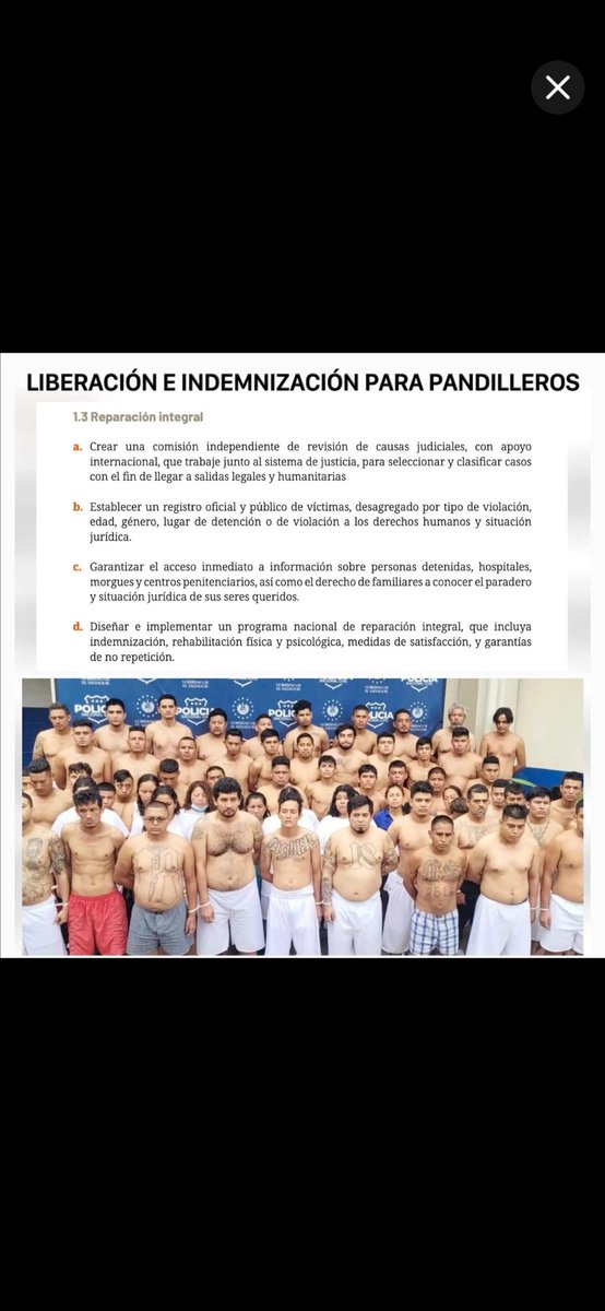 bastión anti zurdos de 💩 tweet media