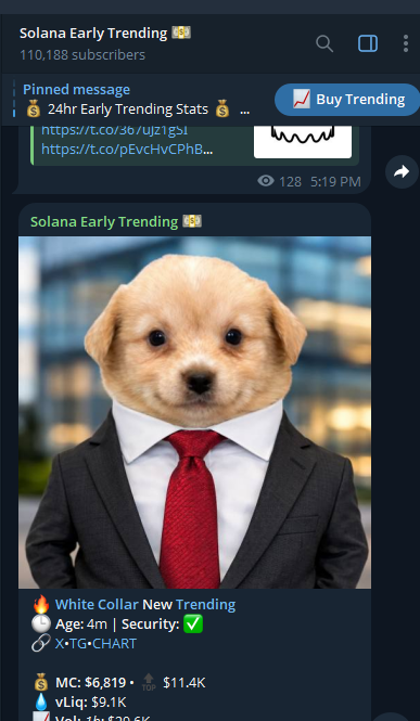 pumpyonpumpfun's tweet photo. We are on early trending bullish!

E2VYp16kyAuQdFfagFQqpUQVFn32bXJdQZ65BvcJpump https://t.co/llENRnr4zQ