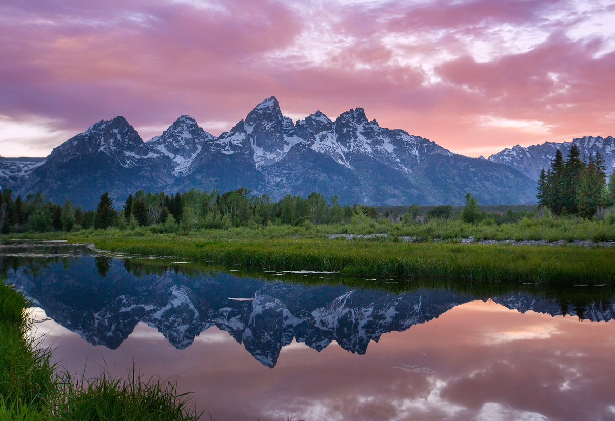 Brynn Alise tweet media