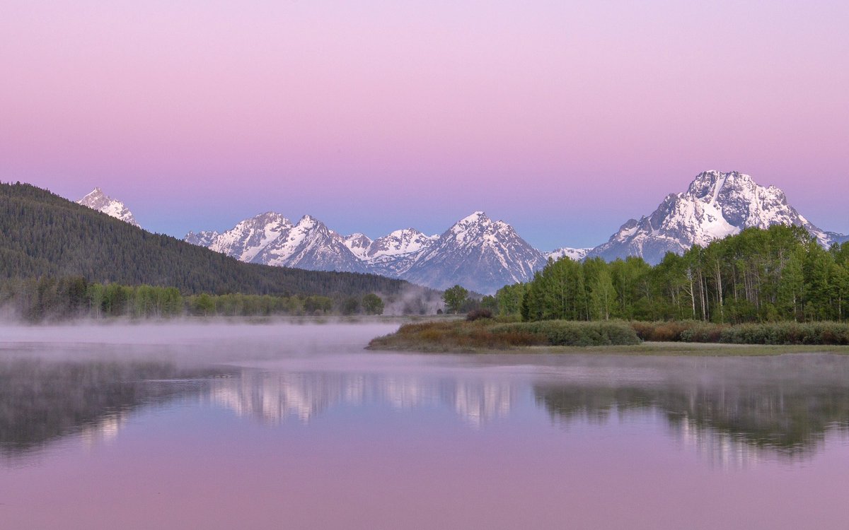 Brynn Alise tweet media