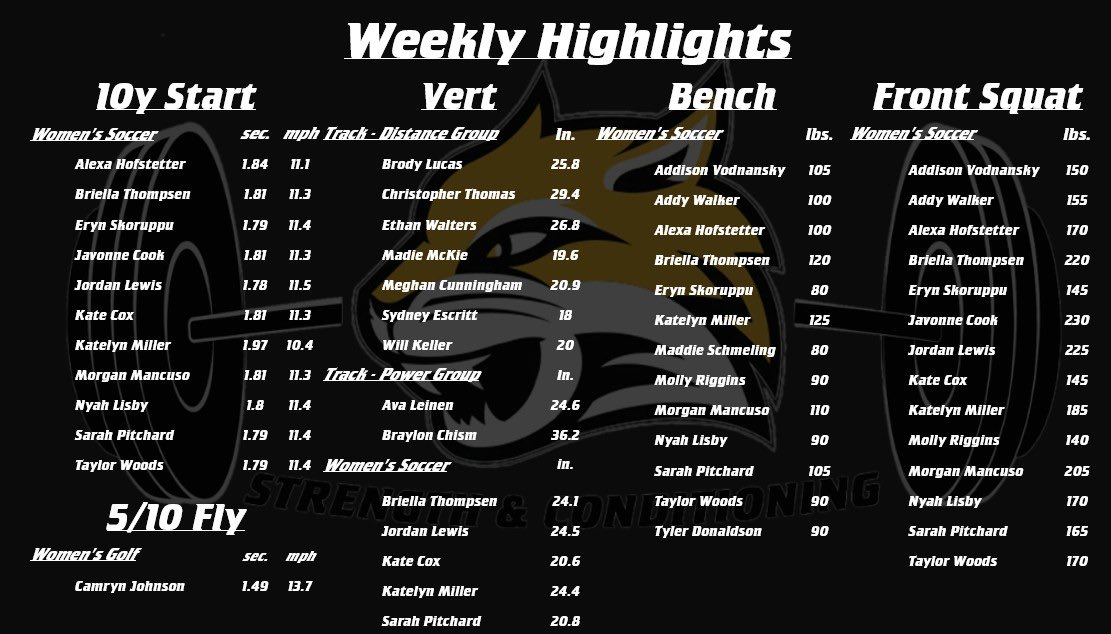WSC Strength tweet media