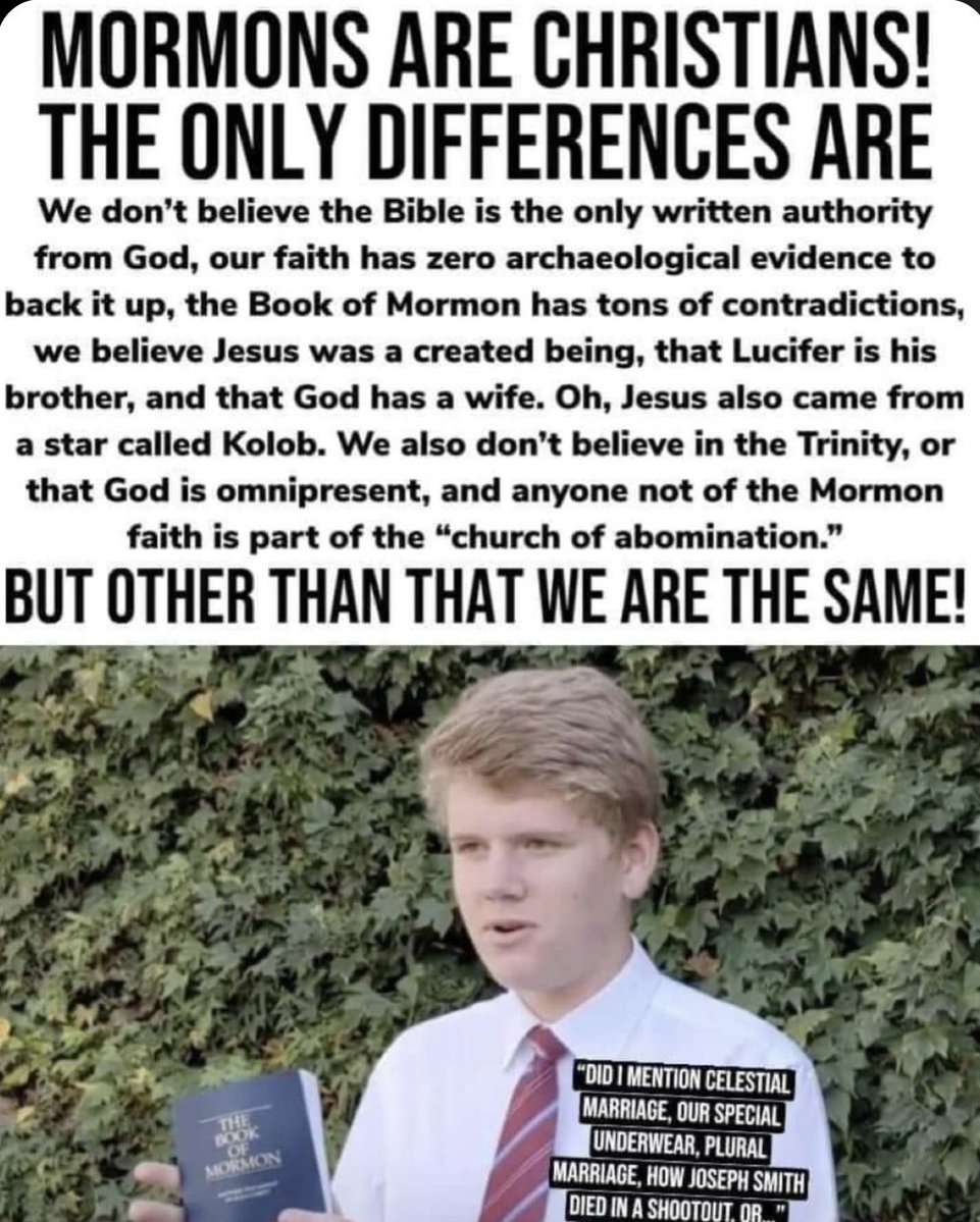 🌷 LIZZIE🌷 tweet media