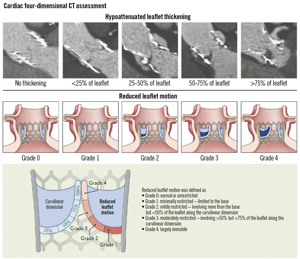 Davide Capodanno tweet media