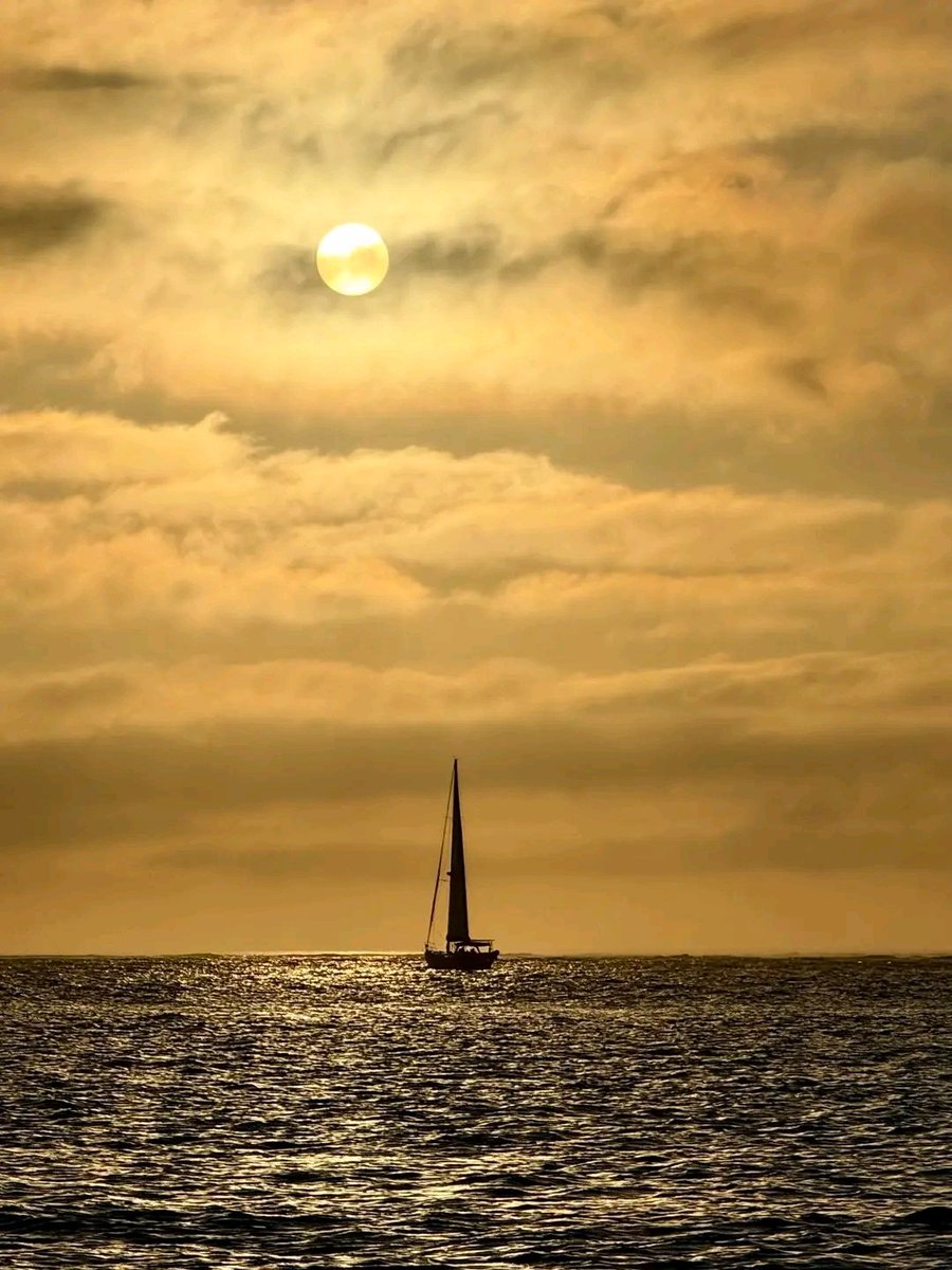 Thomas McDonough tweet media