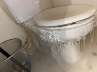 Madison Water tweet media