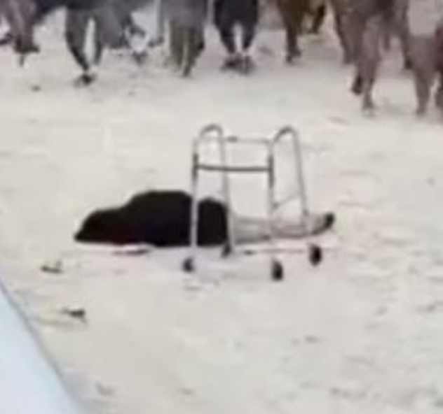 War Doll tweet media