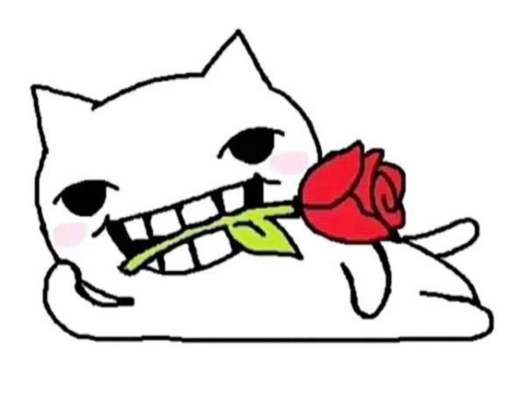 Tai 🍉 414 tweet media