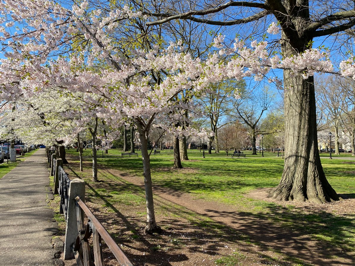 Visit Connecticut tweet media